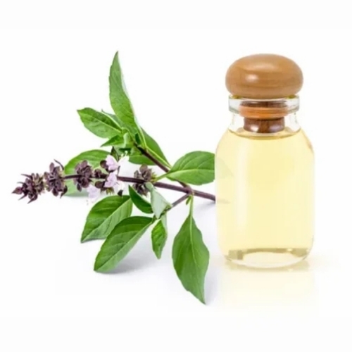 Tulsi Essential Oil - 100% Pure 1 Kg Bottle | Steam Distillation Liquid Form Suitable for Adults Ideal for Skin & Hair Care