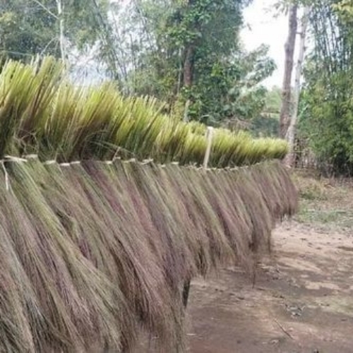 Finished Grass Broom - Color: Green To Brown