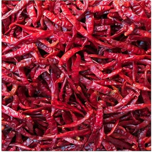 Dry Red Chilli