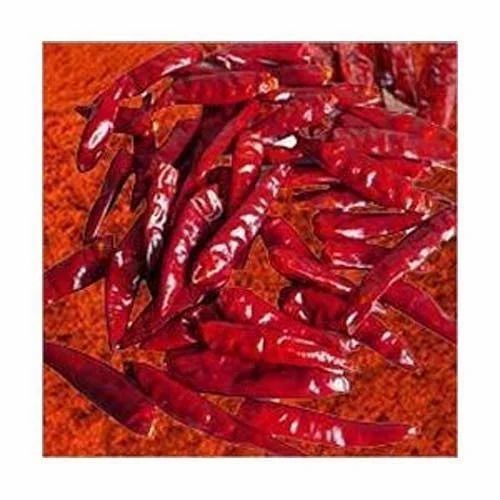Kolathur Red Chilli