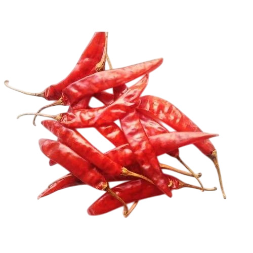 S4 Sanam Red Chilli
