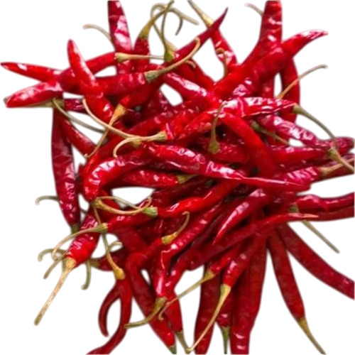 Teja Red Chilli
