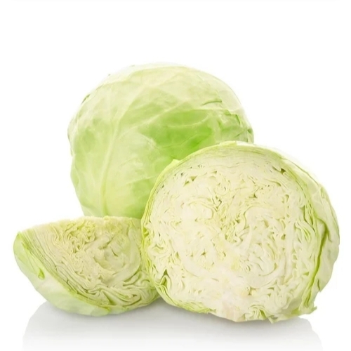 Fresh Cabbage