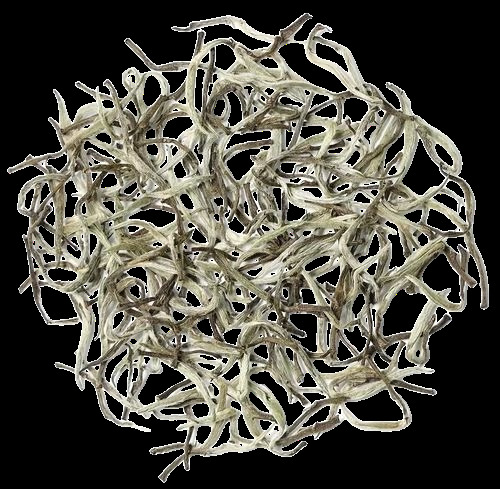 Silver Lining Darjeeling White Tea