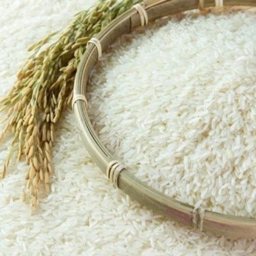 Normal White Rice