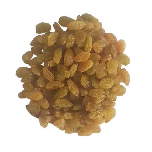 Golden Raisin By Ep Traders