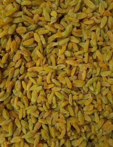 Green Long Raisins