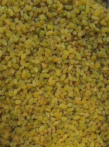 Green Round Raisins