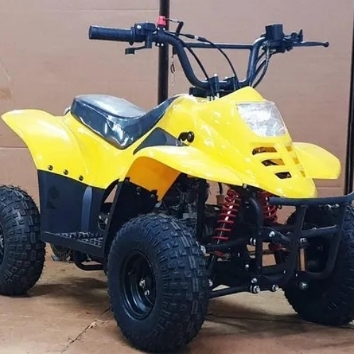 Kids ATV 80CC Bike