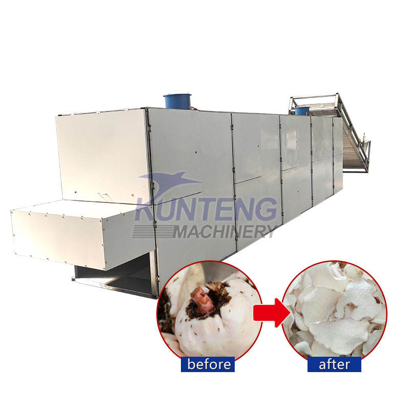 Multi Layer Continuous Mesh Belt Potato Drying Machine - Automation Grade: High