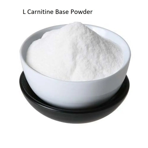 L Carnitine Base Powder