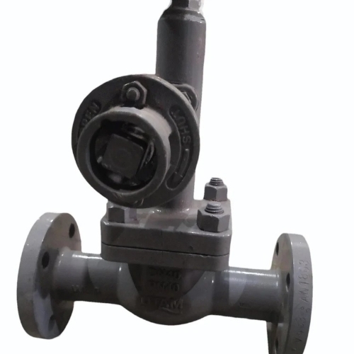 Industrial Control Valve