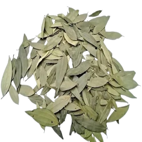 Bay Leaf Tej Patta