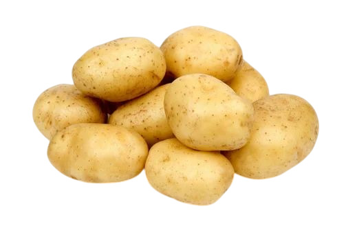 Fresh Potatoes
