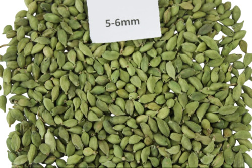 green cardamom