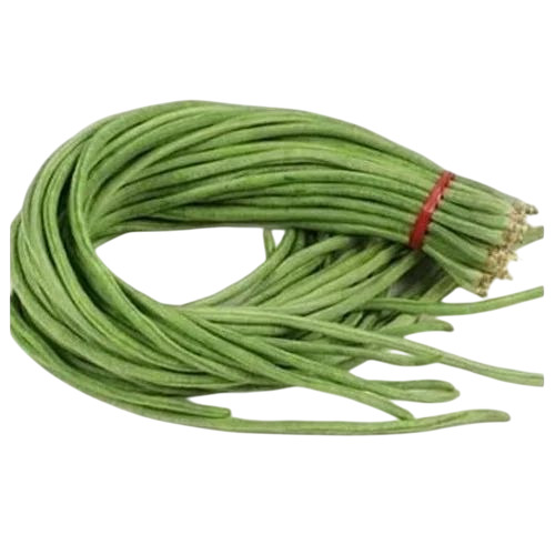 Green Fresh Beans