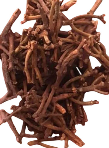 Solid Clove Stem