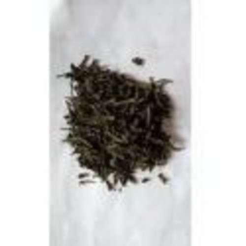 Stalky Green Tea