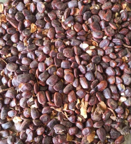 Tamarind Seeds