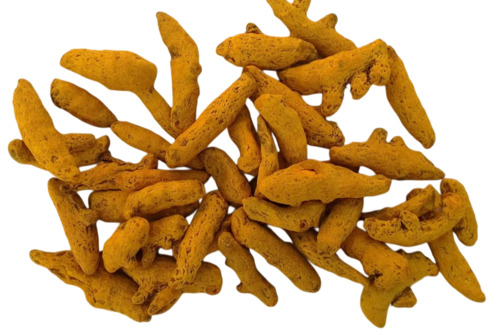 Yellow Turmeric Fingers