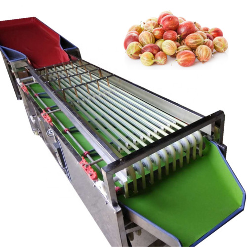 Fruit Grading Machine - Color: Green