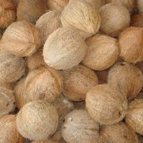 Husked Coconut