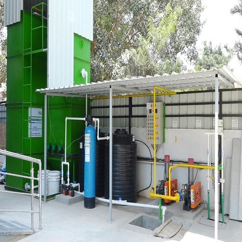 Stp Water Plants