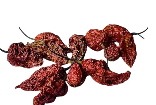 Bhut Jolokia Ghost Pepper