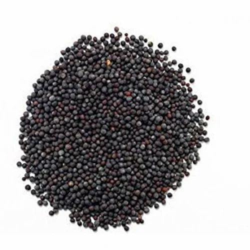 Black Mustard Seeds