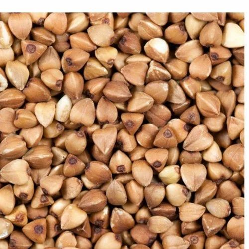 Buckwheat Seeds