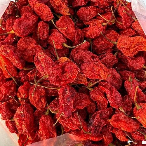 Dried Bhut Jolokia Ghost Pepper