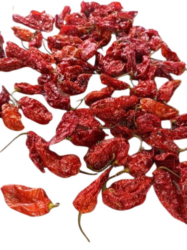 Red Bhut Jolokia Ghost Pepper