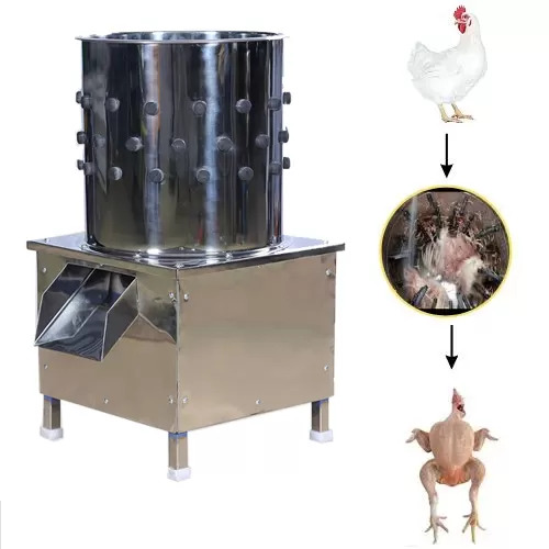 Feather Plucking Machine - Color: Gray