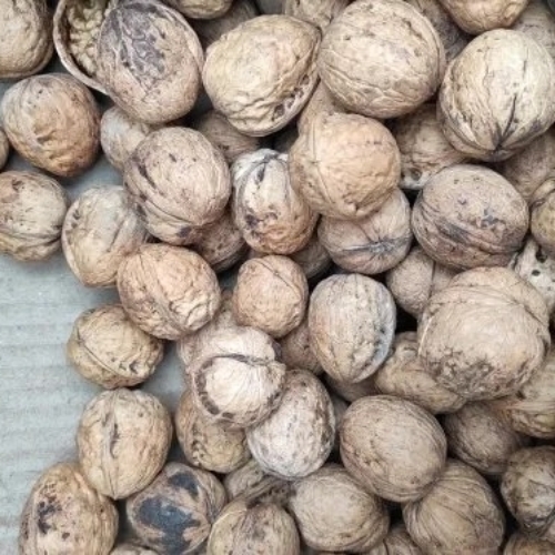 Organic Raw Walnuts