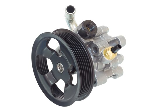 Steering Pumps 