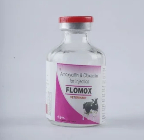Veterinary Ampicillin Cloxacillin Injection 4 Gram