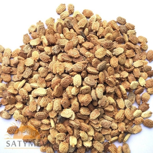 Bitter Guard Seeds