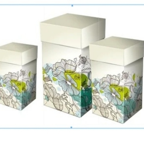 Duplex Printed Box