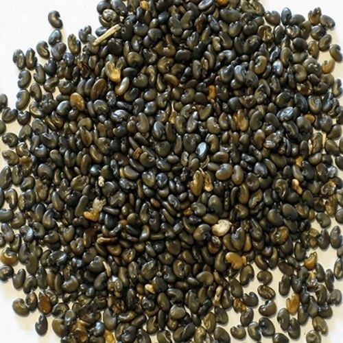 Jute Seeds