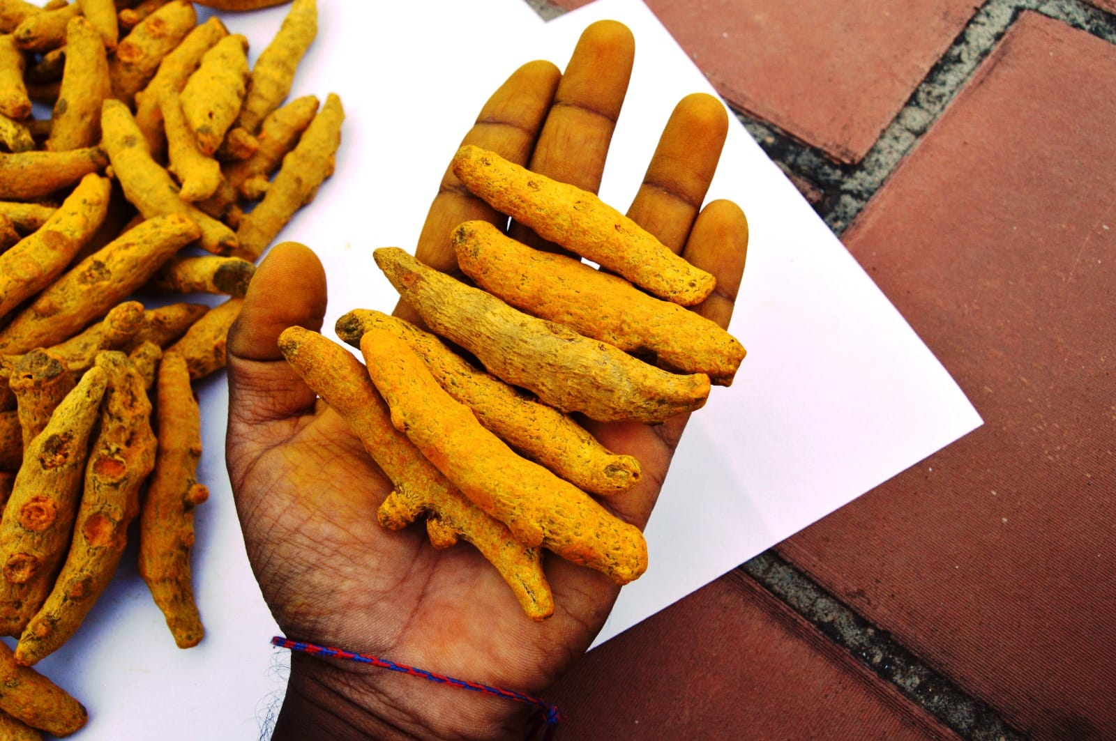 Turmeric Powder