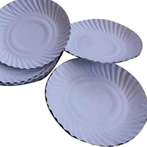 Disposable Paper Plates