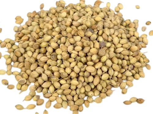 Dried Coriander