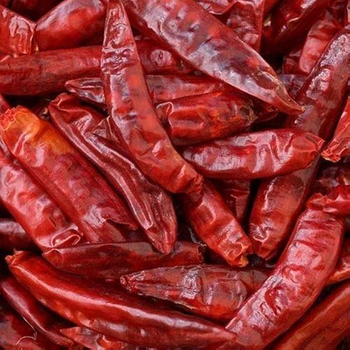 Dry Red Chilli
