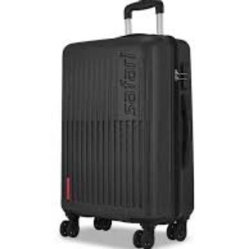 Trolley Bag
