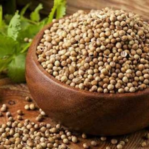 High Nutritional Coriander