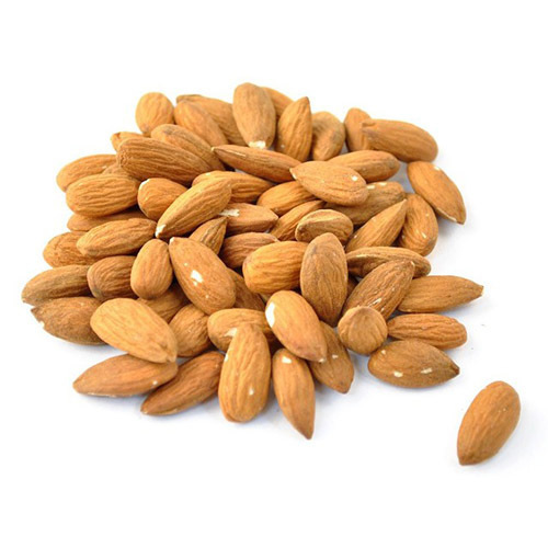 Fresh Almond Nut - Color: Brown