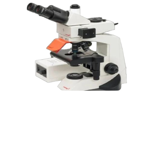 Fluorescent Microscope