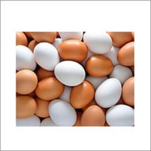Fresh Eggs 