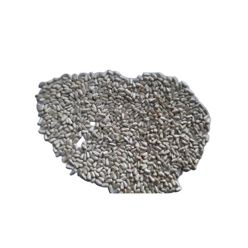 Oil Seed Safflower Seeds