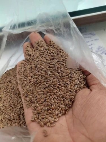 Roasted Flax Seeds